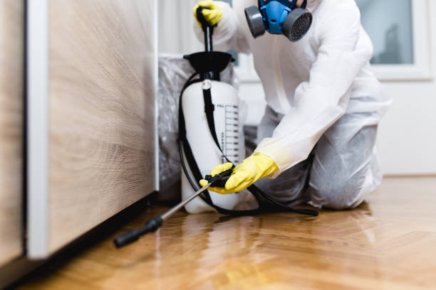 Best Pest Control Treatment  in Panama City, FL