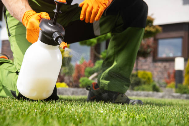 Best Wasp Removal Services  in Panama City, FL
