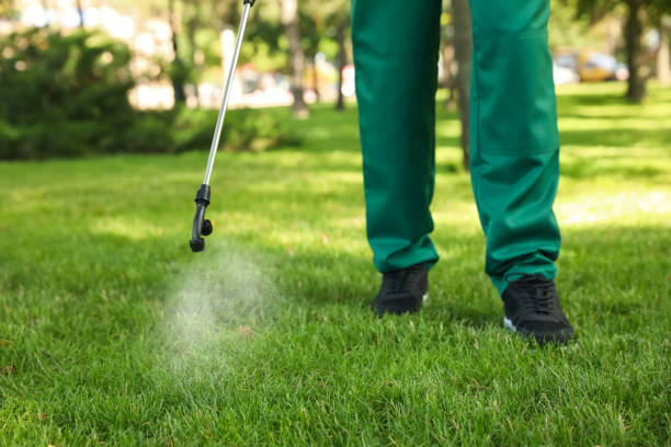 Best Best Pest Control Companies  in Panama City, FL