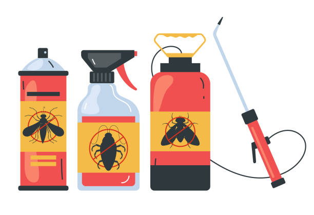 Best Ant Control Services  in Panama City, FL