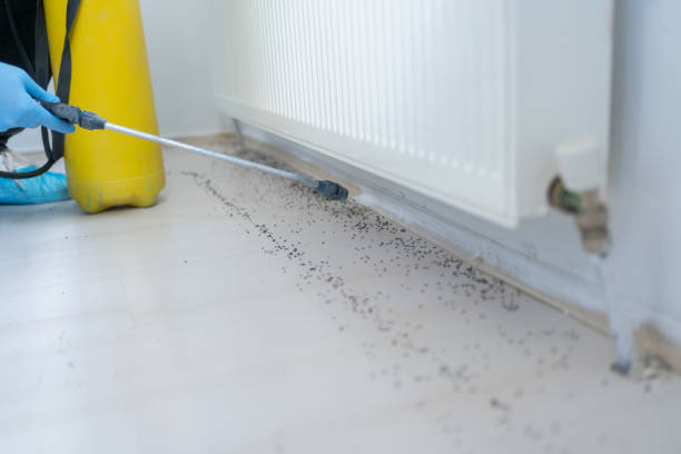 Best Exterminator Services  in Panama City, FL