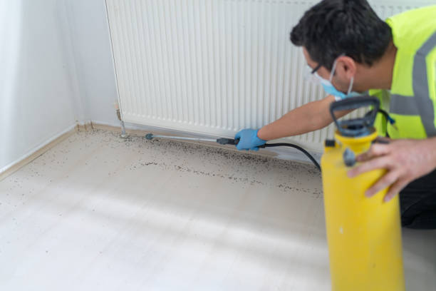 Best Emergency Pest Control  in Panama City, FL